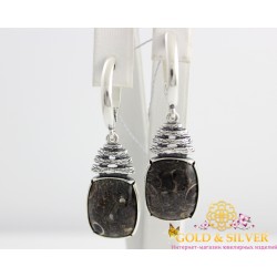 Серебряные женские серьги Статус агат турителла 2459агту Gold & Silver, Украина